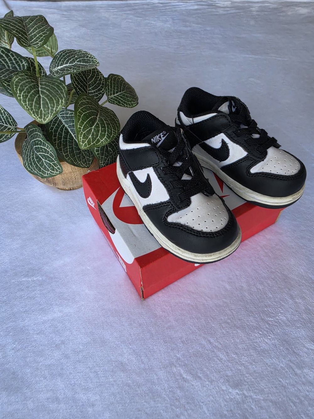 Toddler Nike Dunk Low Top Sneakers